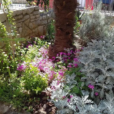 Nyaraló House Mladen Medulin