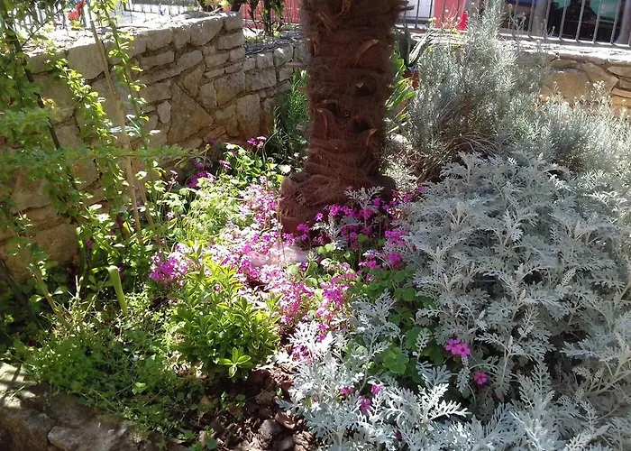 Nyaraló House Mladen Medulin